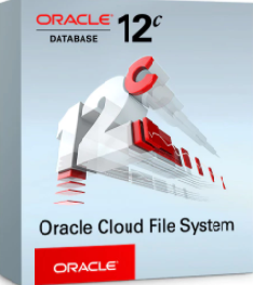 Oracle Cloud File System