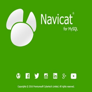 Navicat for PostgreSQL 11